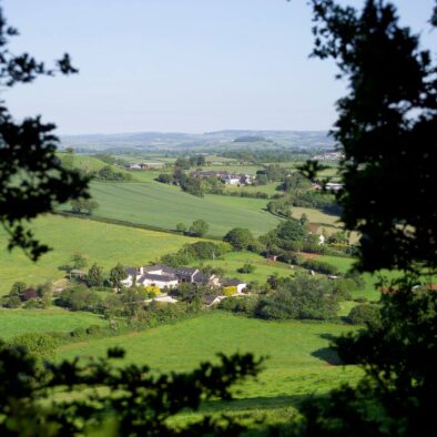 Compton Pool in the Valley