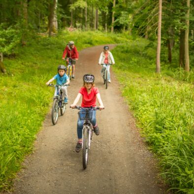 Family cycle